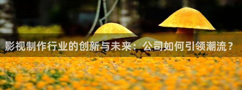 红叶影院下载