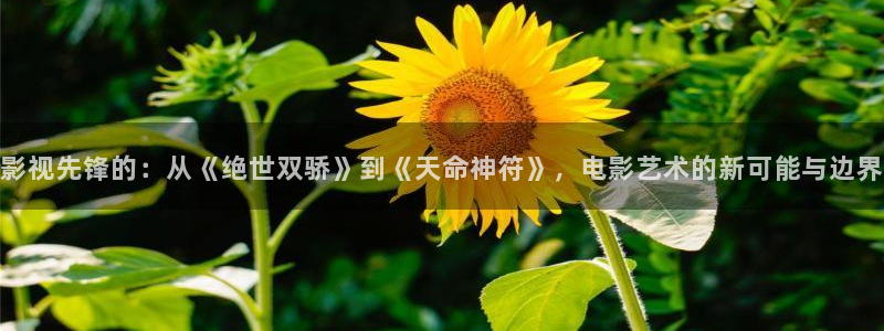 红叶电影