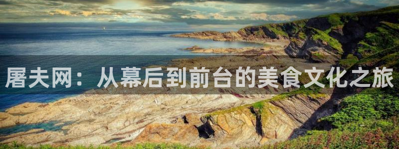 红叶影视官网：屠夫网：从幕后到前台的美食文化之旅