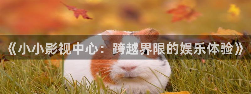 电影红叶：《小小影视中心：跨越界限的娱乐体验》
