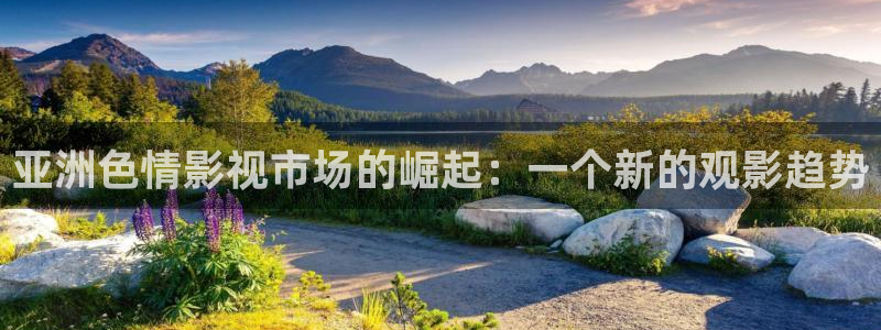 红叶影视官网：亚洲色情影视市场的崛起：一个新的观影趋势