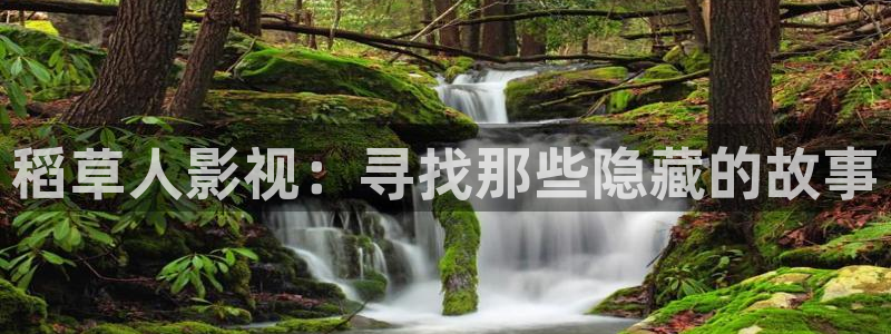 红叶影视下载app官方下载