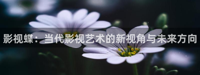 红叶影城影讯