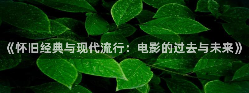 红叶影院app：《怀旧经典与现代流行：电影的过去与未来》